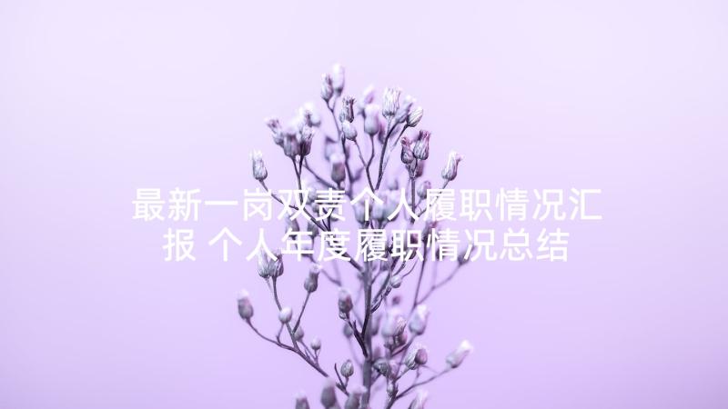 最新一岗双责个人履职情况汇报 个人年度履职情况总结(优秀5篇)