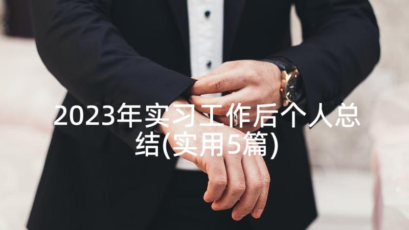 2023年实习工作后个人总结(实用5篇)