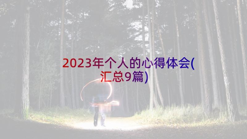 2023年个人的心得体会(汇总9篇)