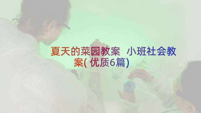 夏天的菜园教案 小班社会教案(优质6篇)