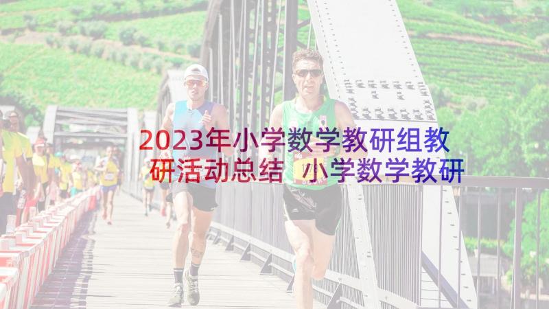 2023年小学数学教研组教研活动总结 小学数学教研组工作总结(汇总5篇)