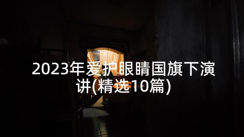 2023年爱护眼睛国旗下演讲(精选10篇)