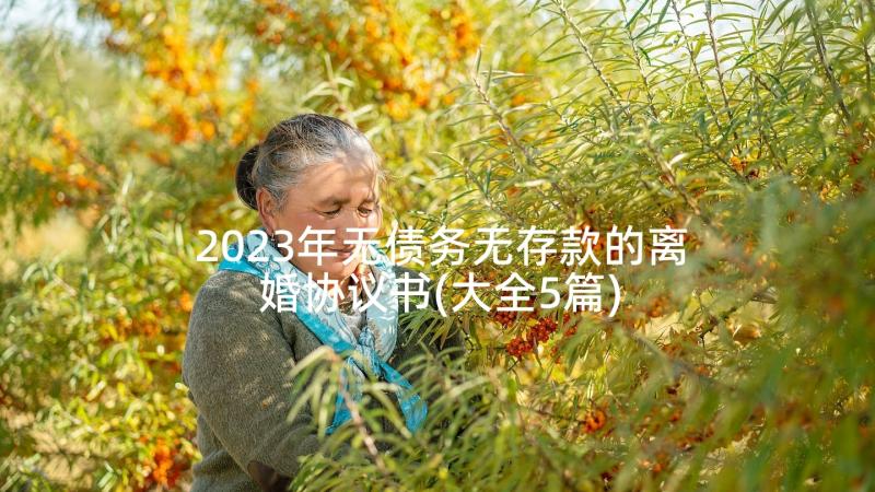 2023年无债务无存款的离婚协议书(大全5篇)