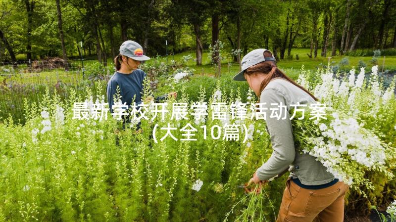 最新学校开展学雷锋活动方案(大全10篇)