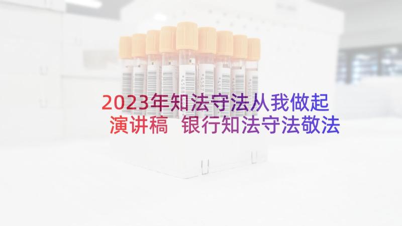 2023年知法守法从我做起演讲稿 银行知法守法敬法演讲稿专题(优秀5篇)