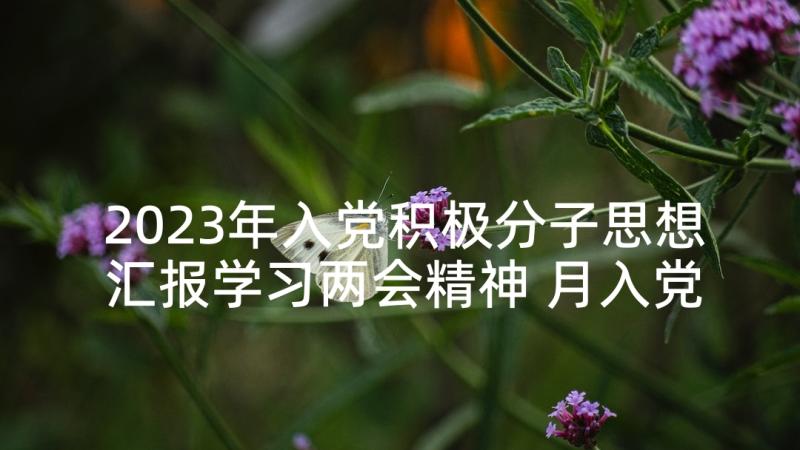 2023年入党积极分子思想汇报学习两会精神 月入党积极分子思想汇报学习雷锋精神(优质5篇)