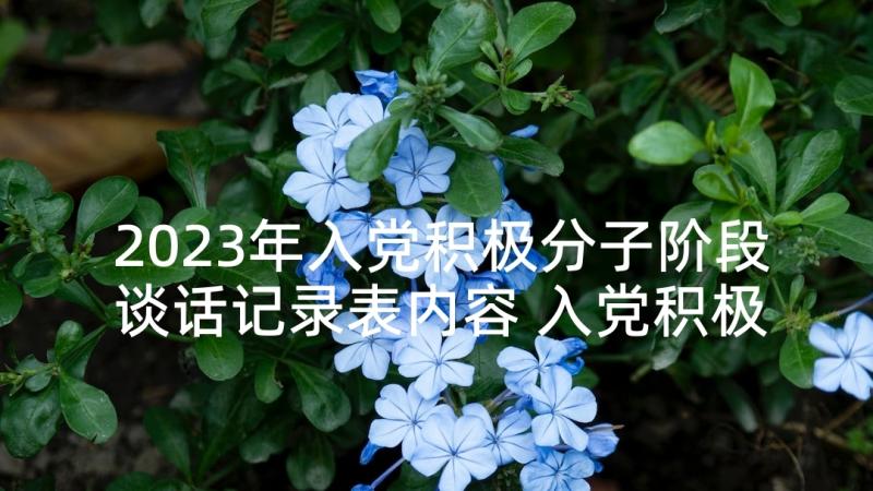 2023年入党积极分子阶段谈话记录表内容 入党积极分子谈话内容及心得(汇总7篇)