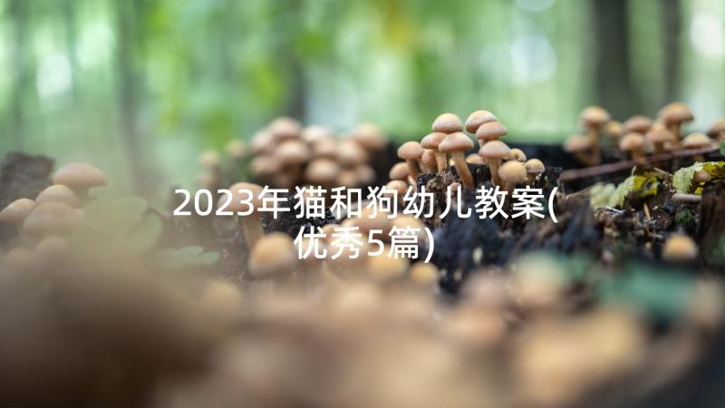 2023年猫和狗幼儿教案(优秀5篇)