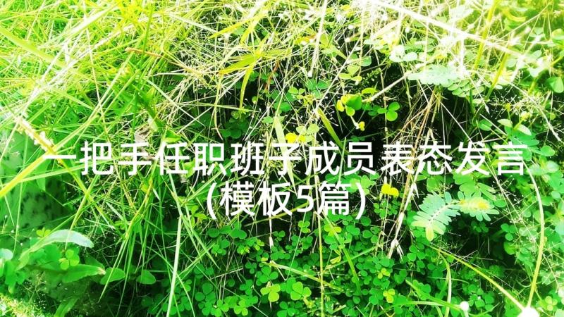 一把手任职班子成员表态发言(模板5篇)