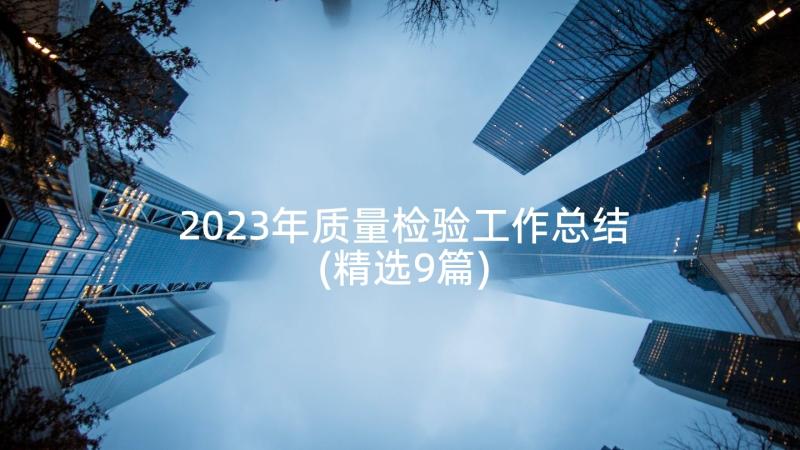 2023年质量检验工作总结(精选9篇)