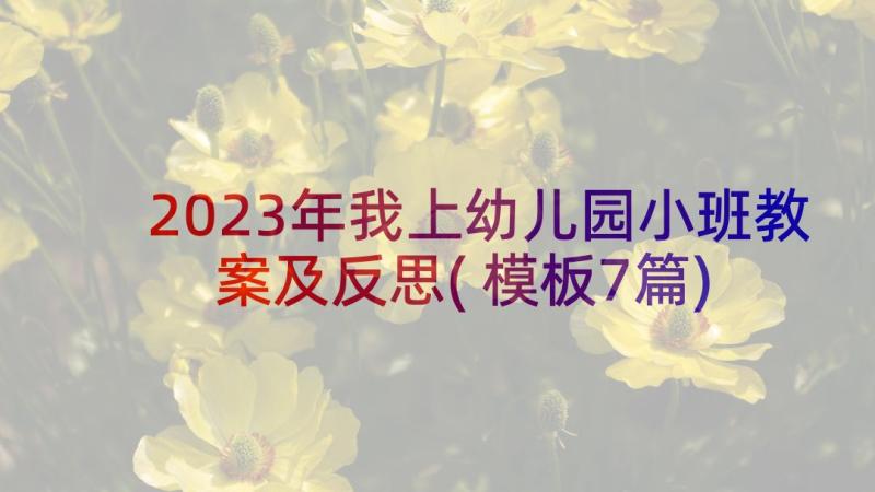 2023年我上幼儿园小班教案及反思(模板7篇)