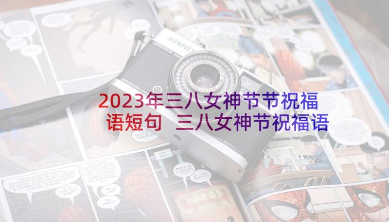 2023年三八女神节节祝福语短句 三八女神节祝福语(大全7篇)