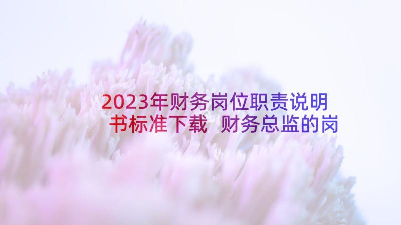 2023年财务岗位职责说明书标准下载 财务总监的岗位职责说明书(实用5篇)