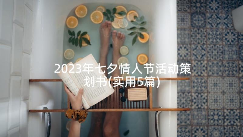 2023年七夕情人节活动策划书(实用5篇)