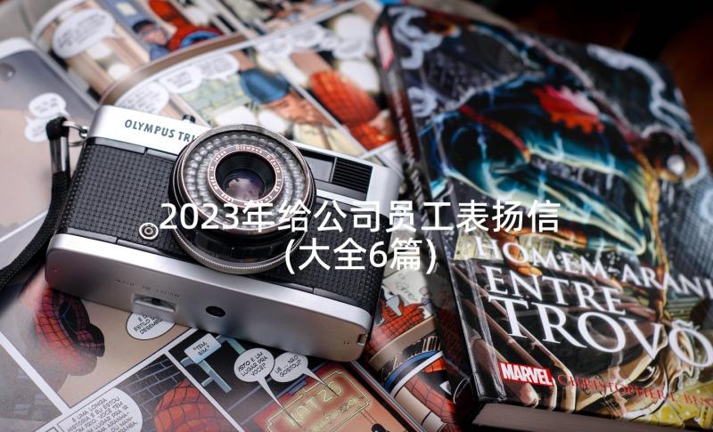 2023年给公司员工表扬信(大全6篇)