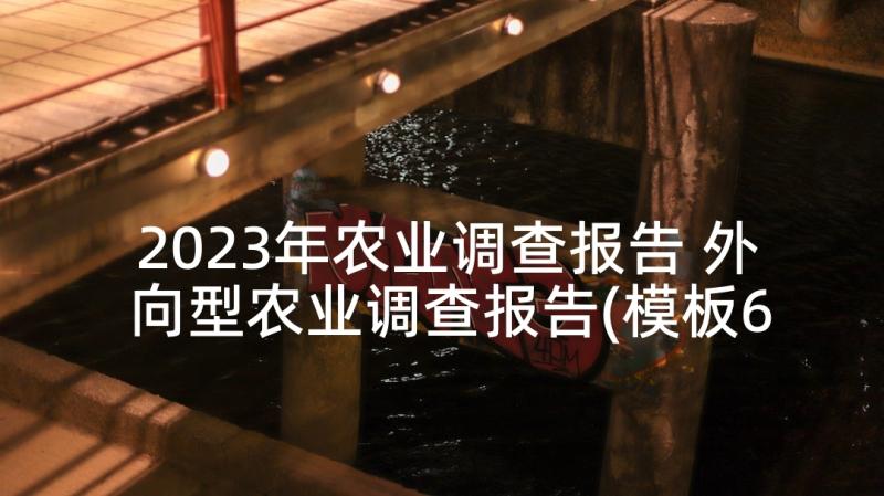 2023年农业调查报告 外向型农业调查报告(模板6篇)