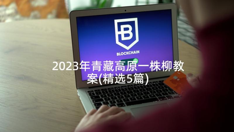 2023年青藏高原一株柳教案(精选5篇)