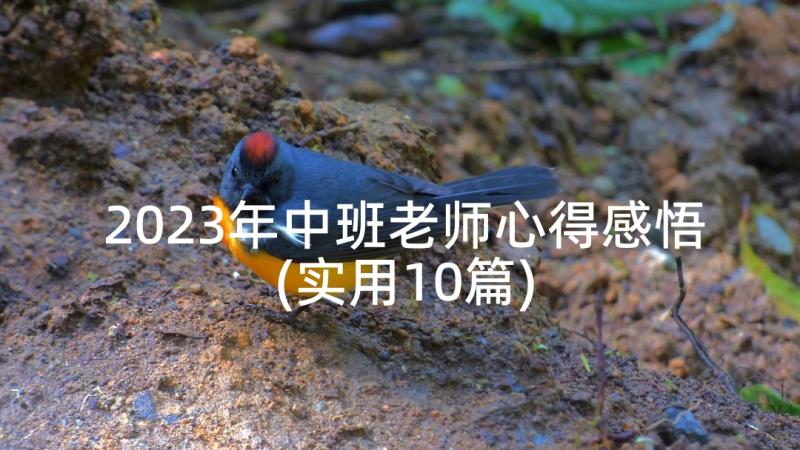 2023年中班老师心得感悟(实用10篇)