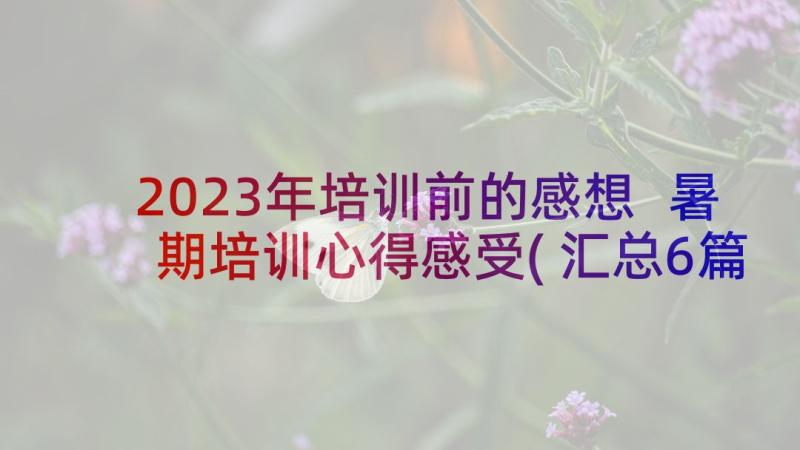 2023年培训前的感想 暑期培训心得感受(汇总6篇)