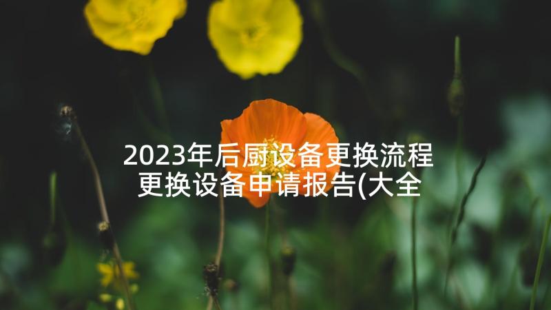 2023年后厨设备更换流程 更换设备申请报告(大全5篇)