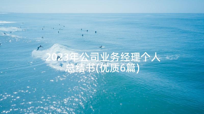 2023年公司业务经理个人总结书(优质6篇)