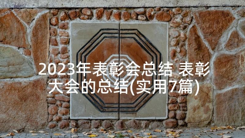 2023年表彰会总结 表彰大会的总结(实用7篇)