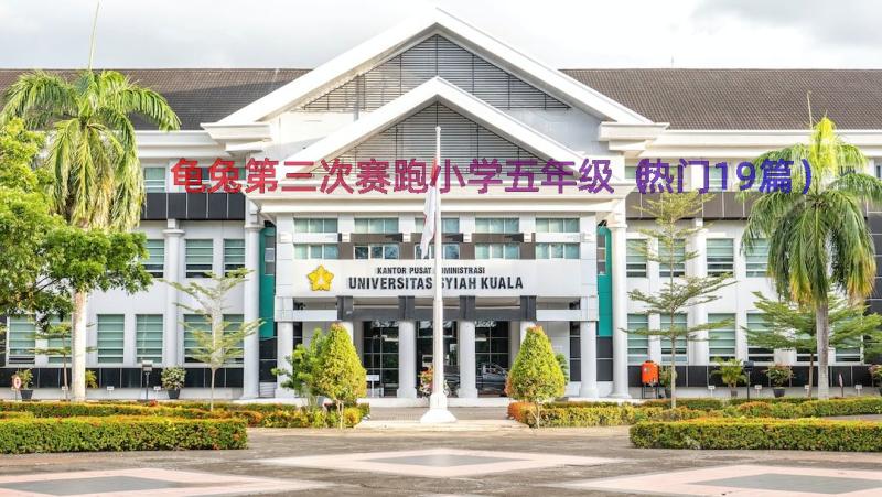 龟兔第三次赛跑小学五年级（热门19篇）