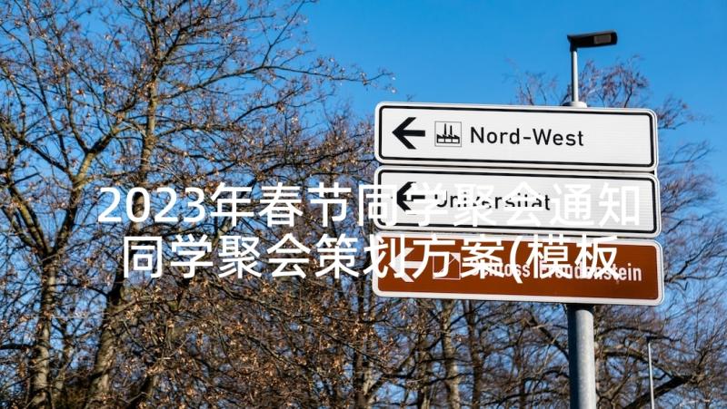 2023年春节同学聚会通知 同学聚会策划方案(模板10篇)