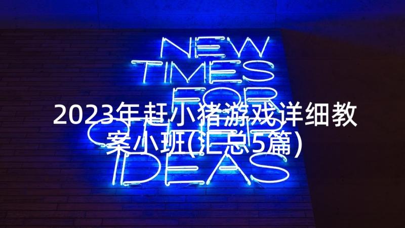 2023年赶小猪游戏详细教案小班(汇总5篇)