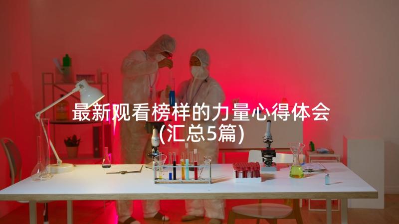 最新观看榜样的力量心得体会(汇总5篇)