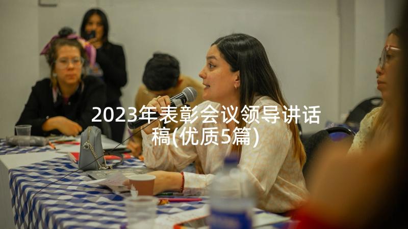 2023年表彰会议领导讲话稿(优质5篇)