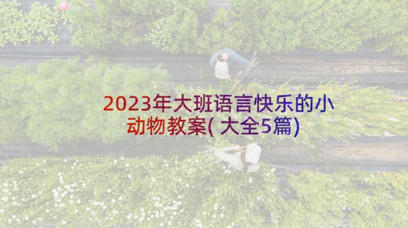 2023年大班语言快乐的小动物教案(大全5篇)