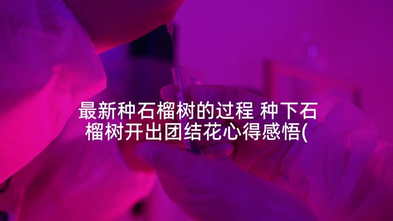 最新种石榴树的过程 种下石榴树开出团结花心得感悟(优质5篇)