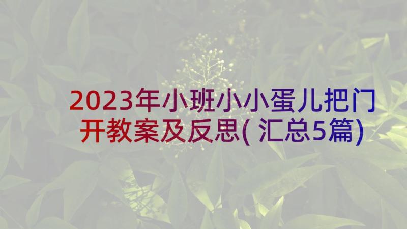 2023年小班小小蛋儿把门开教案及反思(汇总5篇)