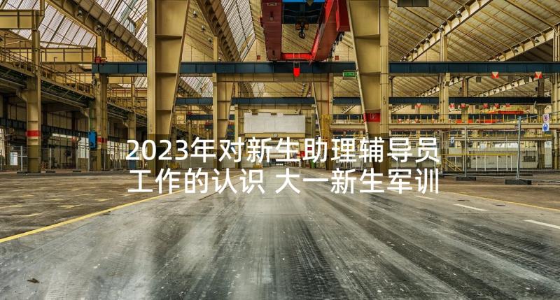 2023年对新生助理辅导员工作的认识 大一新生军训辅导员助理工作总结(实用5篇)