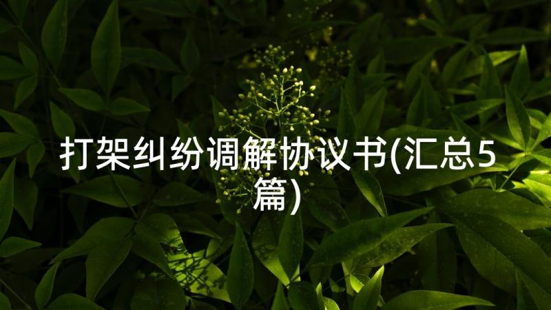 打架纠纷调解协议书(汇总5篇)