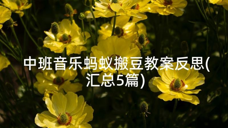 中班音乐蚂蚁搬豆教案反思(汇总5篇)