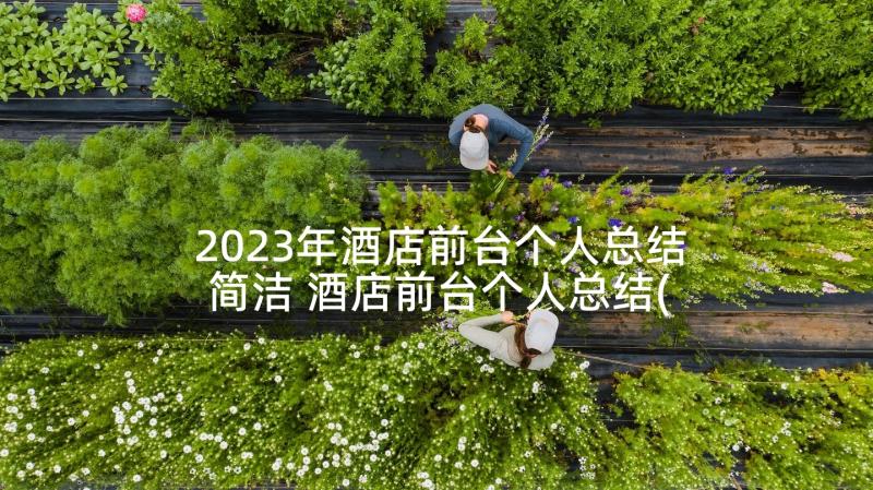 2023年酒店前台个人总结简洁 酒店前台个人总结(大全6篇)