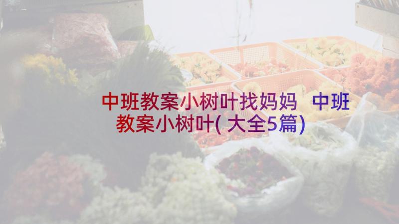 中班教案小树叶找妈妈 中班教案小树叶(大全5篇)