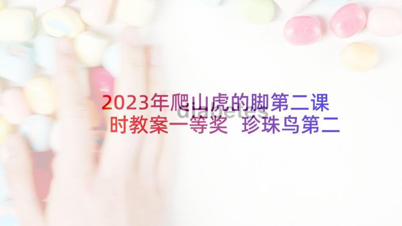 2023年爬山虎的脚第二课时教案一等奖 珍珠鸟第二课时教学实录(大全7篇)