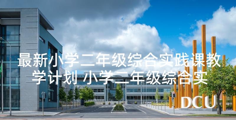 最新小学二年级综合实践课教学计划 小学二年级综合实践活动课教学计划(实用9篇)