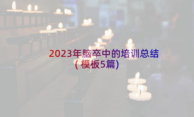 2023年脑卒中的培训总结(模板5篇)