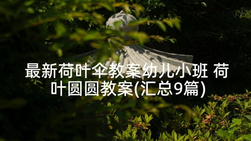 最新荷叶伞教案幼儿小班 荷叶圆圆教案(汇总9篇)