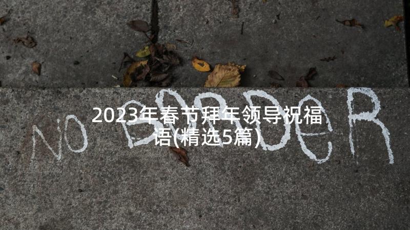 2023年春节拜年领导祝福语(精选5篇)