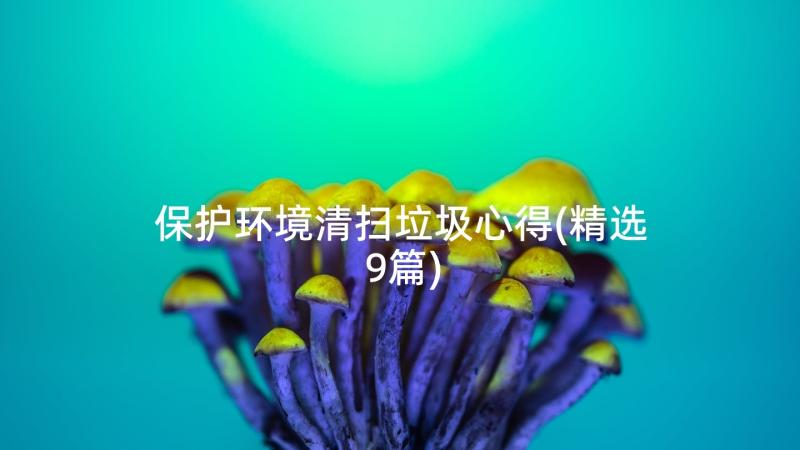 保护环境清扫垃圾心得(精选9篇)