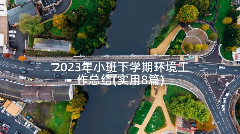 2023年小班下学期环境工作总结(实用8篇)