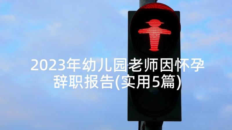 2023年幼儿园老师因怀孕辞职报告(实用5篇)