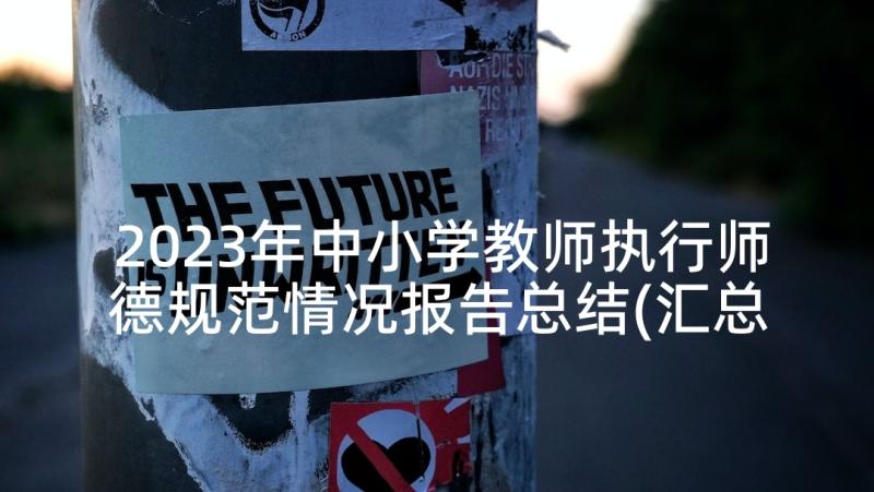 2023年中小学教师执行师德规范情况报告总结(汇总5篇)