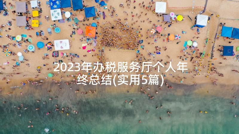 2023年办税服务厅个人年终总结(实用5篇)