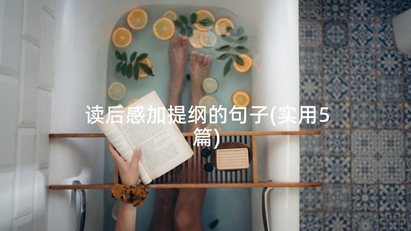 读后感加提纲的句子(实用5篇)